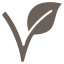 Vegan <br>Friendly