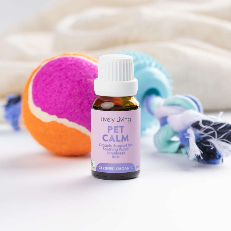 Pet Calm Organic Oil 15ml Lively Living