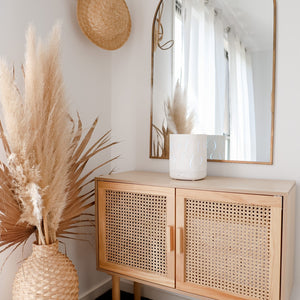 Diffuser vs Humidifier: What's the Real Difference?