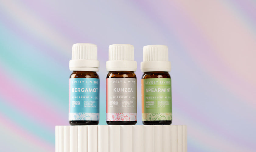 Stocktake Sale