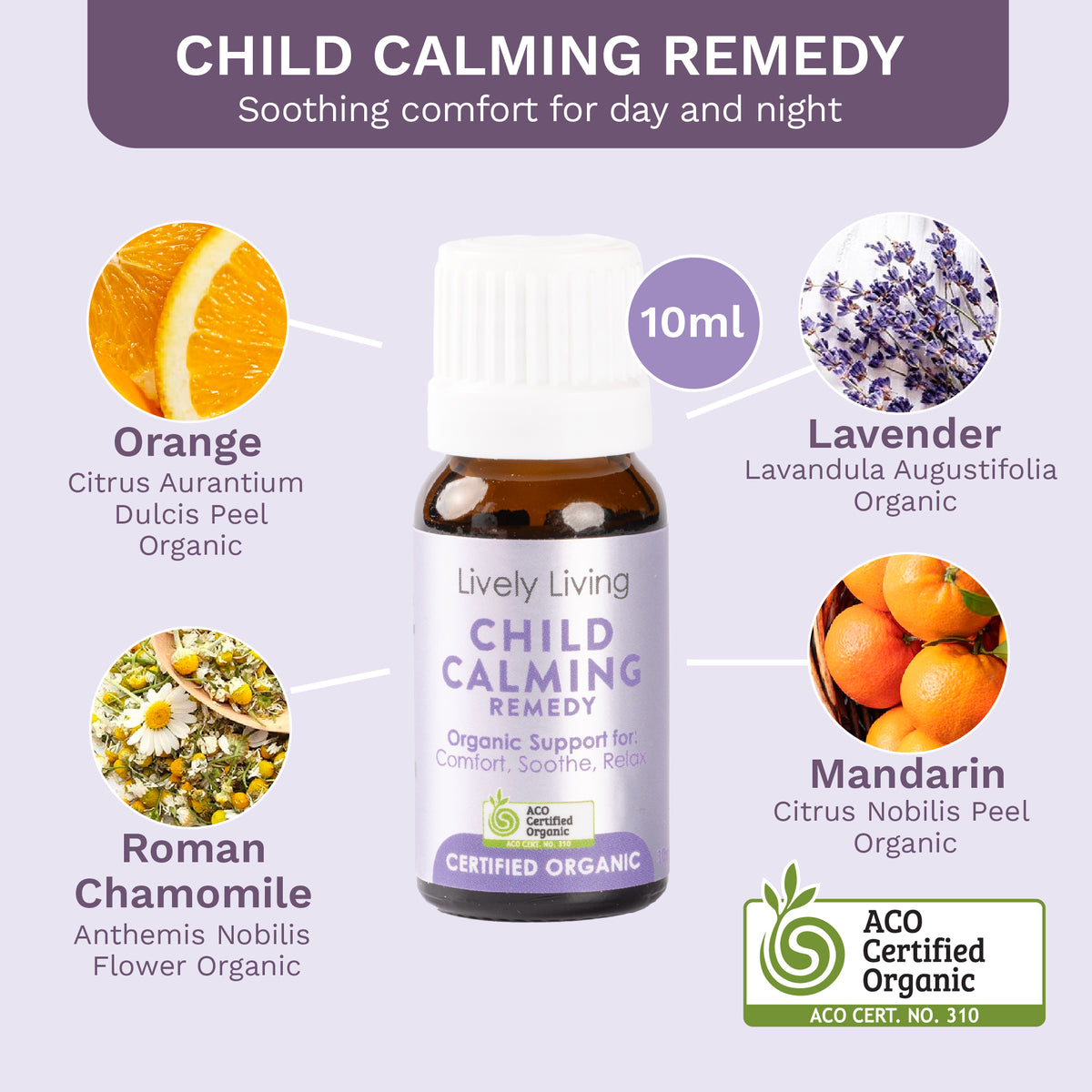 Child Calming Bambino Trio 