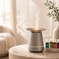 Aroma-Drift Dual Mist Diffuser