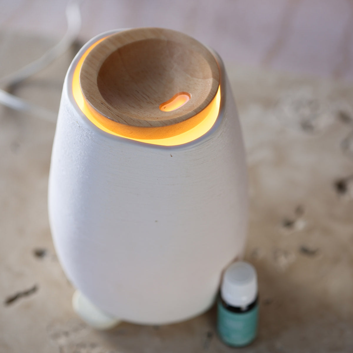 Aroma-Fern Diffuser 