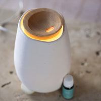 Aroma-Fern Diffuser 