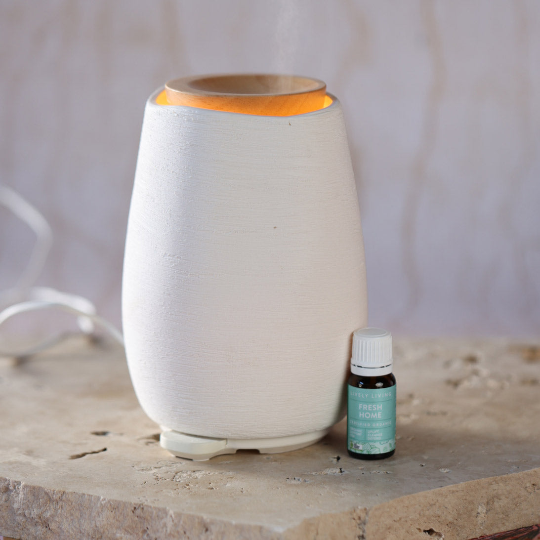 Aroma-Fern Diffuser
