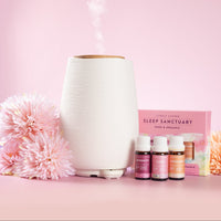 Fern + Sleep Sanctuary 