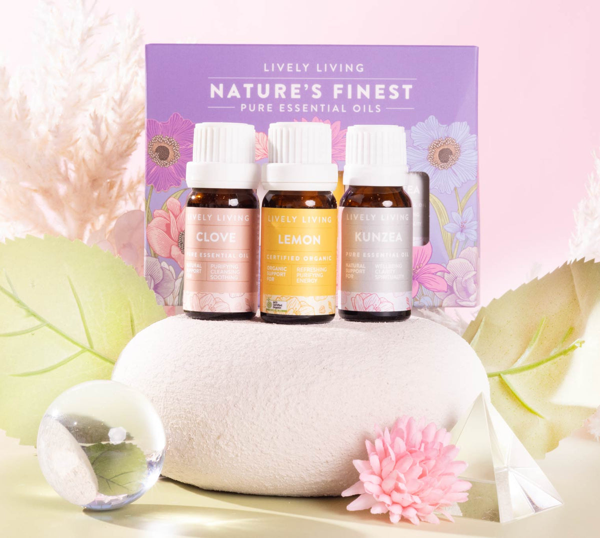 Mould Killer Kit Lively Living 