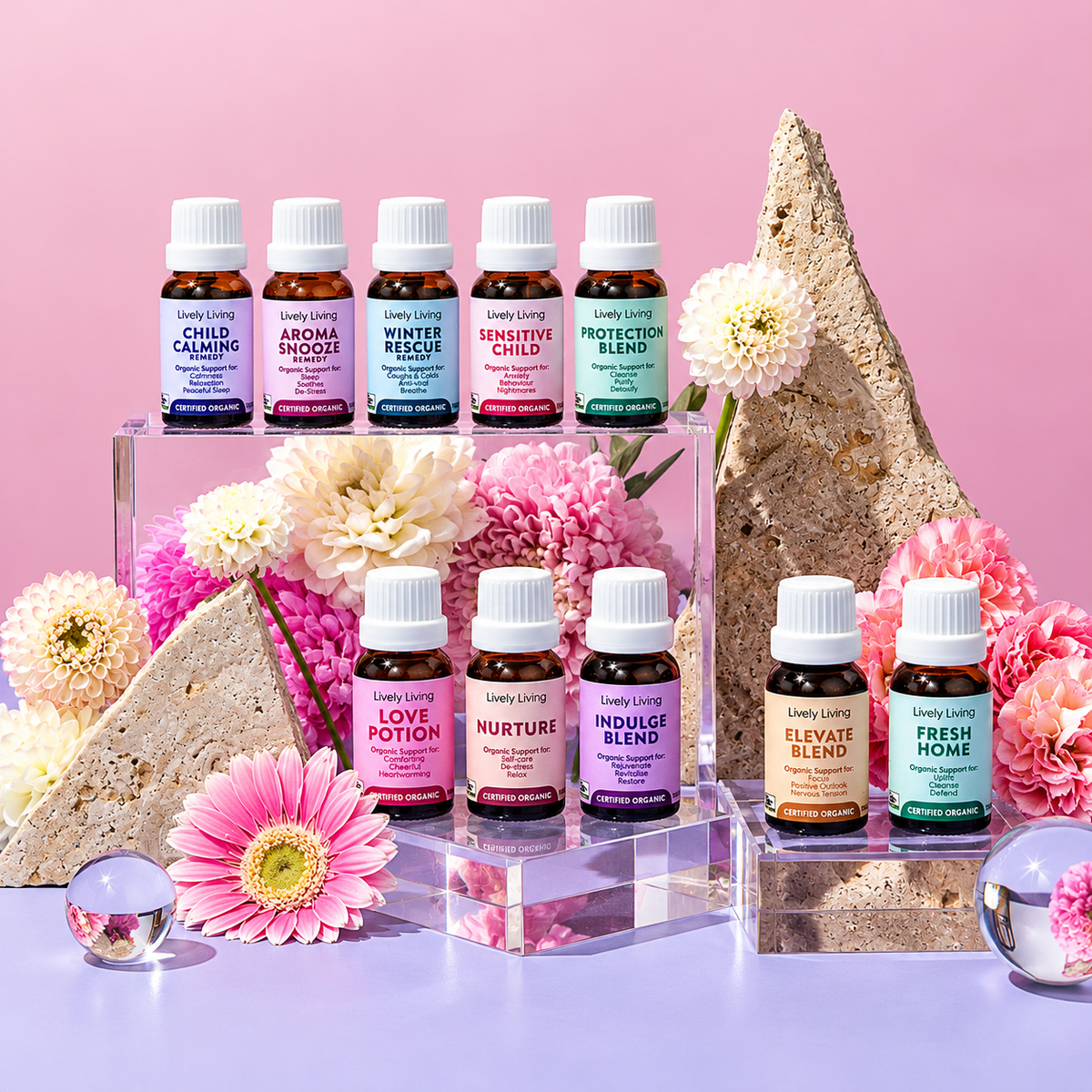 Ten Lively Living certified organic essential oils on clear acrylic risers with pink and white gerberas and sandstone, including Child Calming, Aroma Snooze, Winter Rescue, Sensitive Child, Protection Blend, Love Potion, Nurture, Indulge Blend, Elevate Blend and Fresh Home