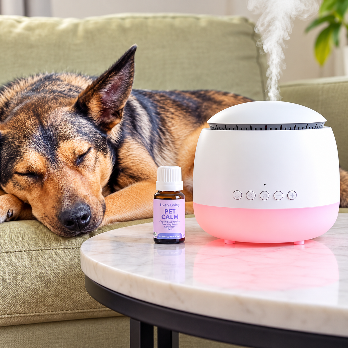 Anxious Pet Calming Diffuser & Organic Oil Bundle