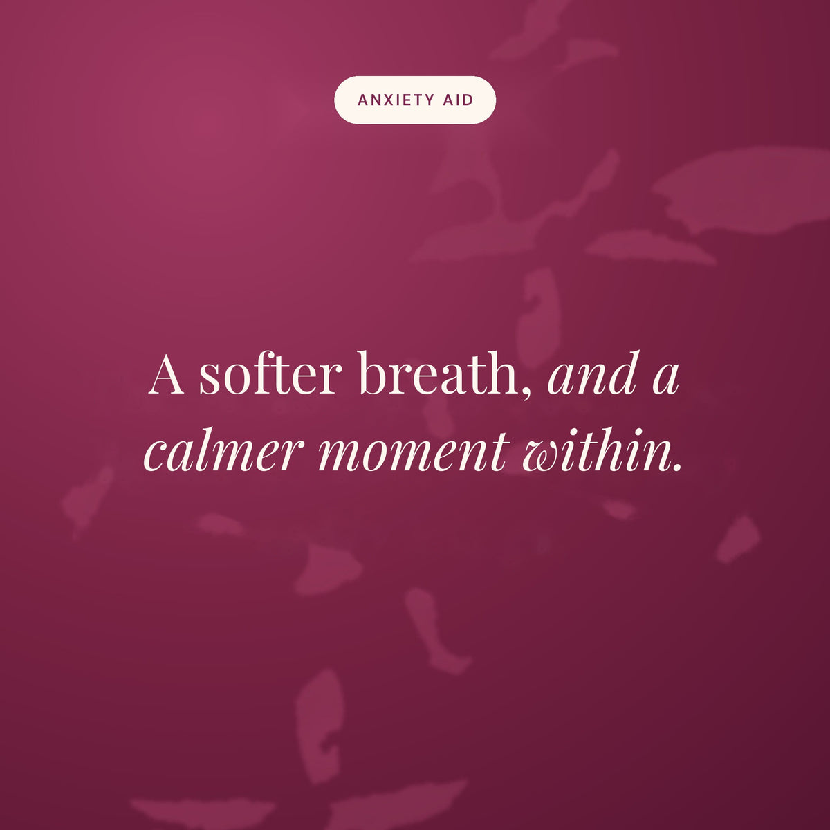 A softer breath, and a calmer moment within
