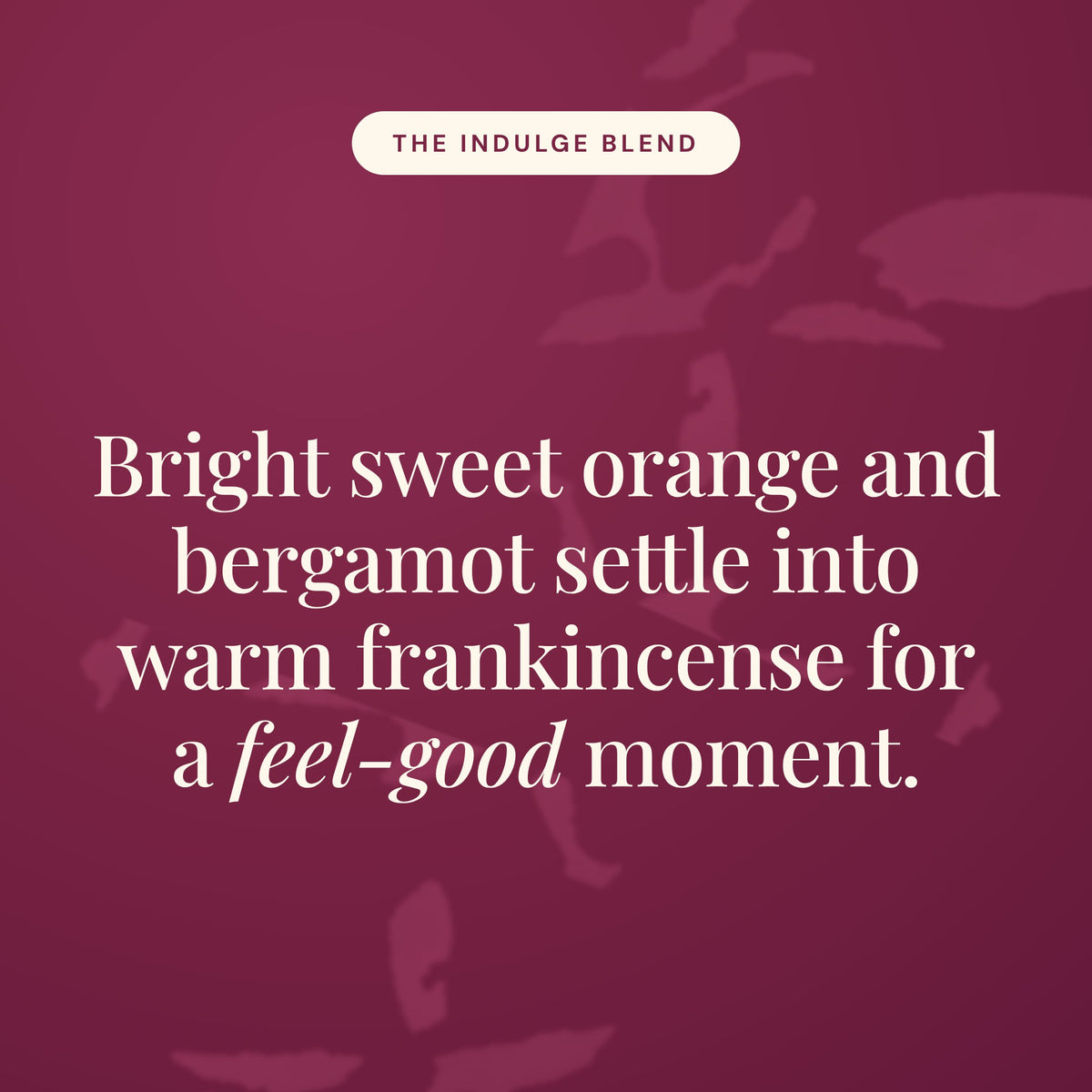 Indulge Blend scent story: sweet orange, bergamot and warm frankincense, included with the Aroma-Bloom bundle