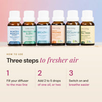 Breathe Clean Essential Oil Collection - 6 x15mls