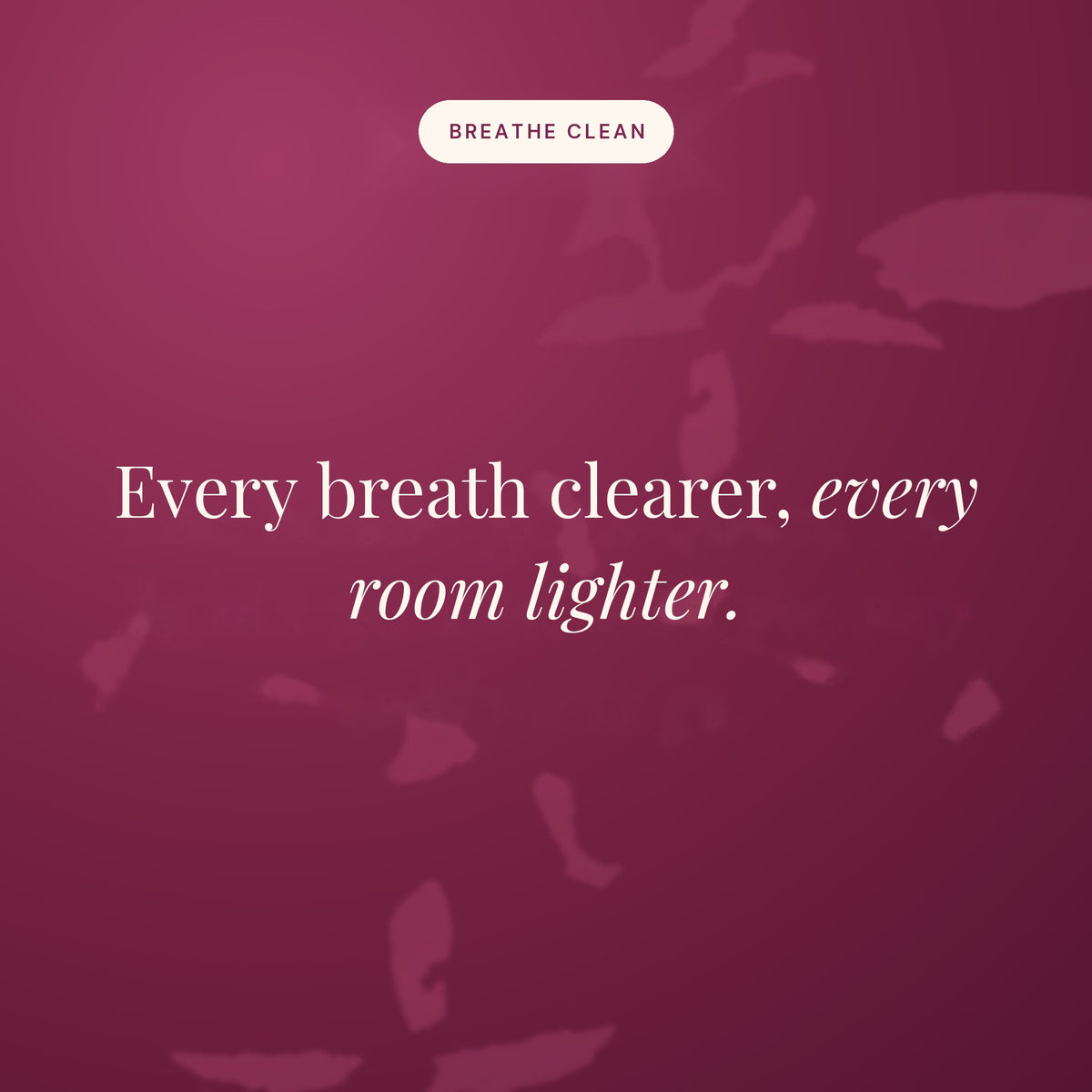 Every breath clearer, every room lighter