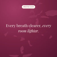 Every breath clearer, every room lighter