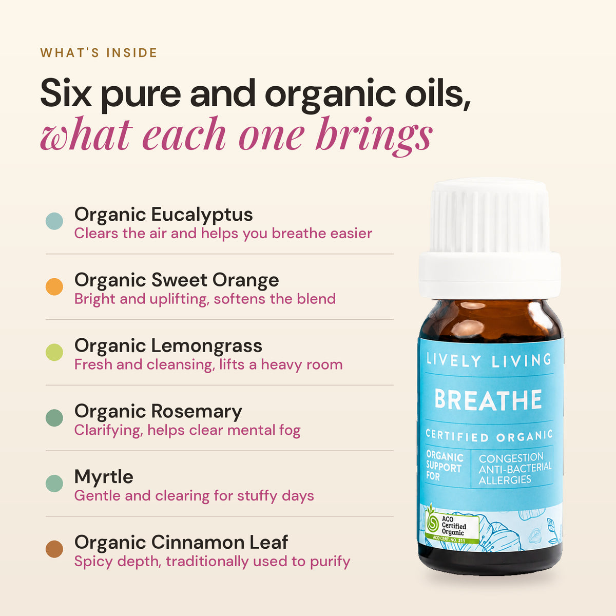 What's inside Breathe 10ml: organic eucalyptus, sweet orange, lemongrass, rosemary and cinnamon leaf with myrtle, and what each oil brings