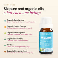 What's inside Breathe 10ml: organic eucalyptus, sweet orange, lemongrass, rosemary and cinnamon leaf with myrtle, and what each oil brings