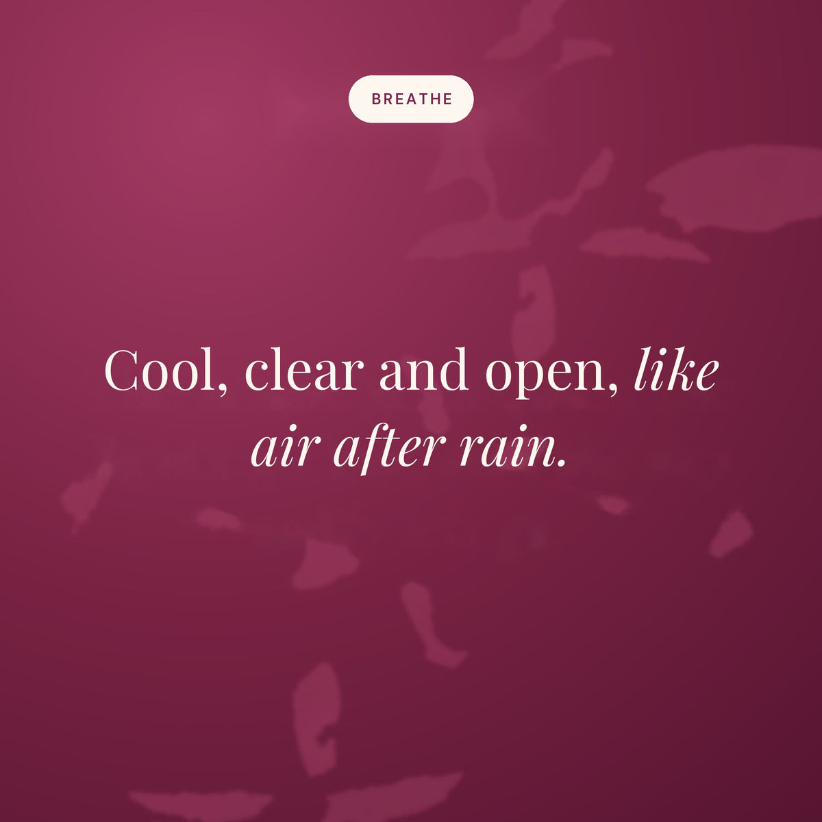 Cool, clear and open, like air after rain