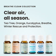six small amber glass essential oil bottles with white caps from Lively Living are arranged on stacked stone blocks against a warm off-white background. Visible labels include Breathe, Orange, Protection Blend, Winter Rescue, Eucalyptus, Tea Tree, and Winter Blend.