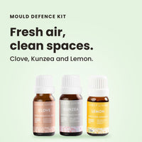 Mould Defence Kit essential oils: Clove, Kunzea and Lemon for fresh air and clean spaces
