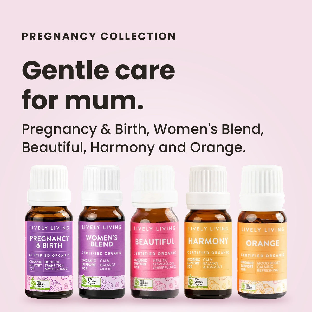Pregnancy Collection: Pregnancy & Birth, Women's Blend, Beautiful, Harmony and Orange