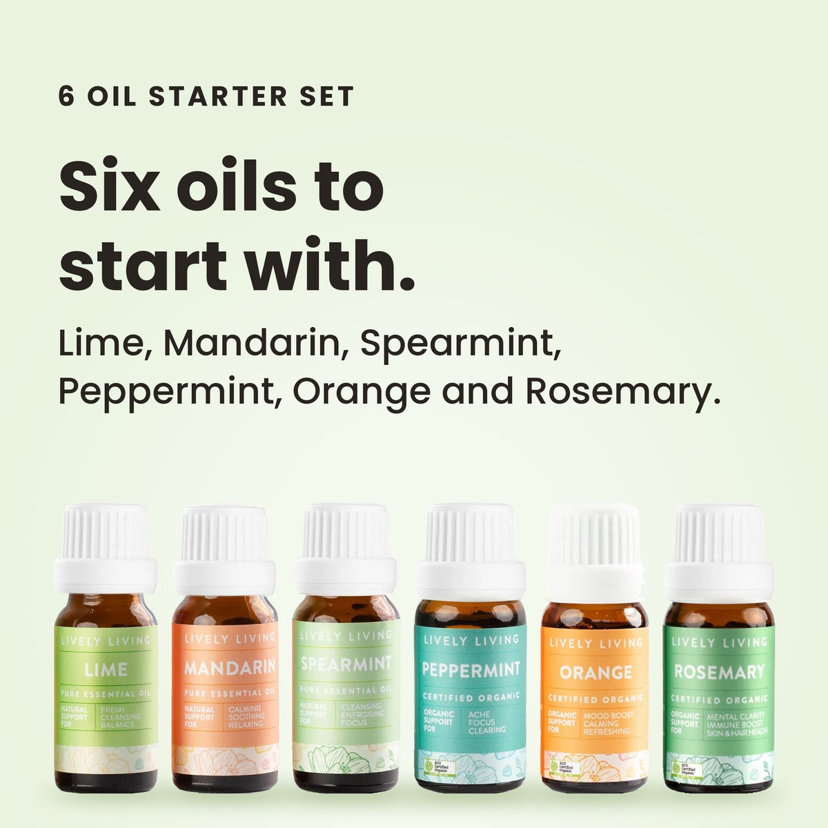 6 Oil Starter Set: Lime, Mandarin, Spearmint, Peppermint, Orange and Rosemary