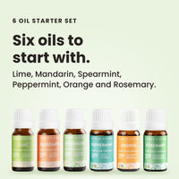 6 Oil Starter Set: Lime, Mandarin, Spearmint, Peppermint, Orange and Rosemary