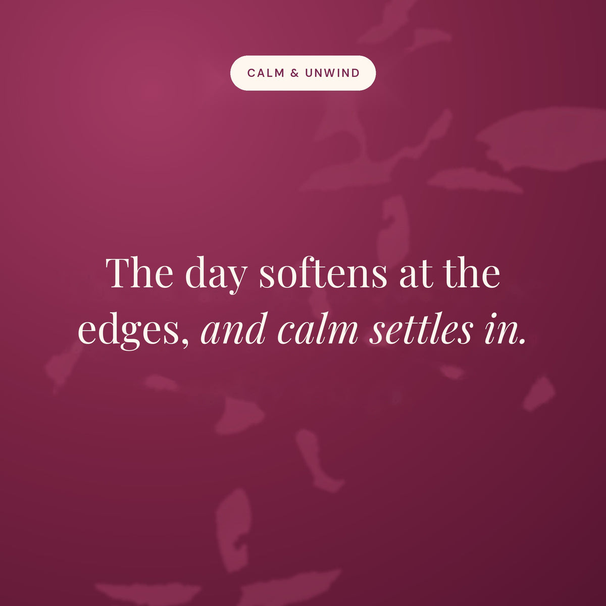 The day softens at the edges, and calm settles in
