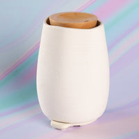 Aroma-Fern diffuser colourful background