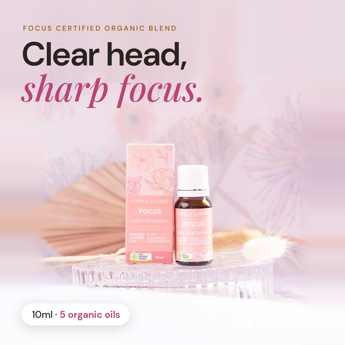 Focus certified organic essential oil 10ml: clear head, sharp focus