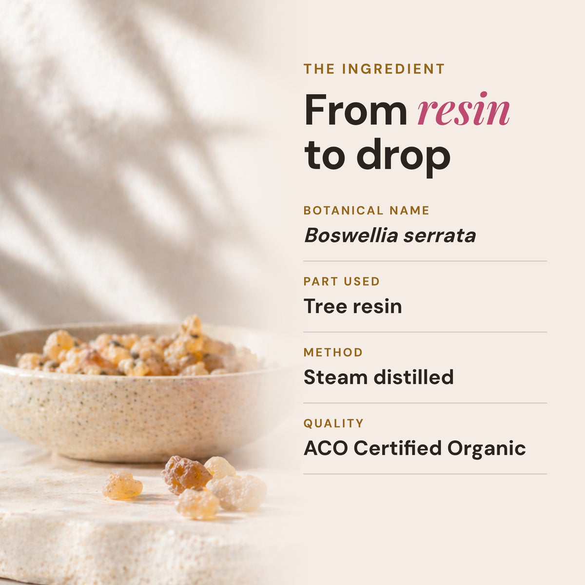 Frankincense ACO Certified  Organic Essential Oil 15ml