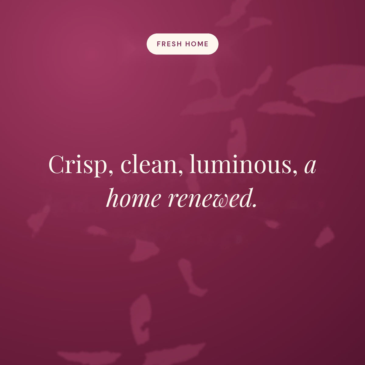Crisp, clean, luminous, a home renewed