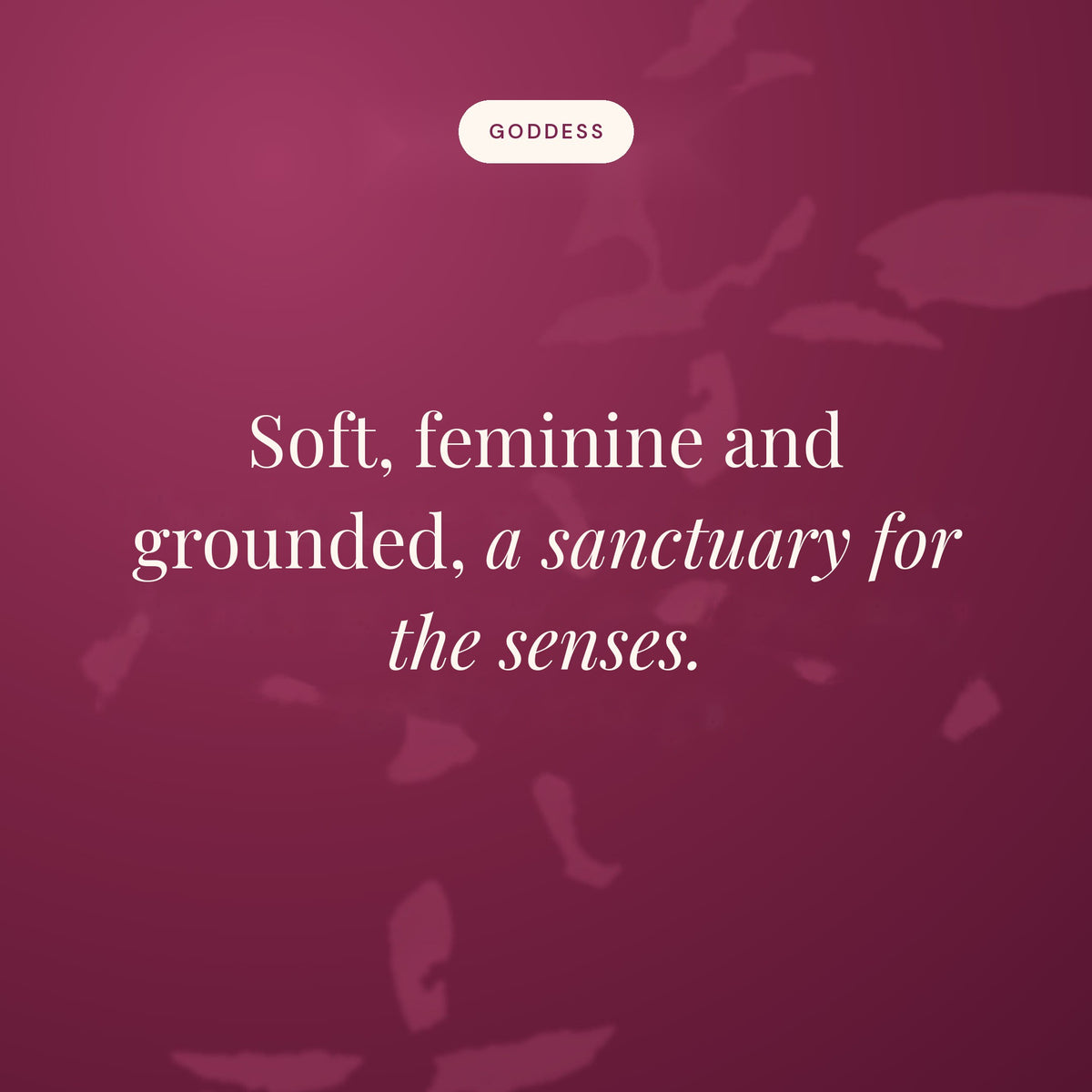 Soft, feminine and grounded, a sanctuary for the senses