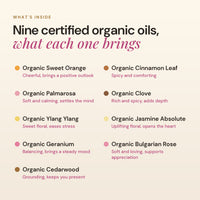 What's inside Gratitude: nine certified organic oils including sweet orange, palmarosa, ylang ylang, jasmine and Bulgarian rose, and what each oil brings