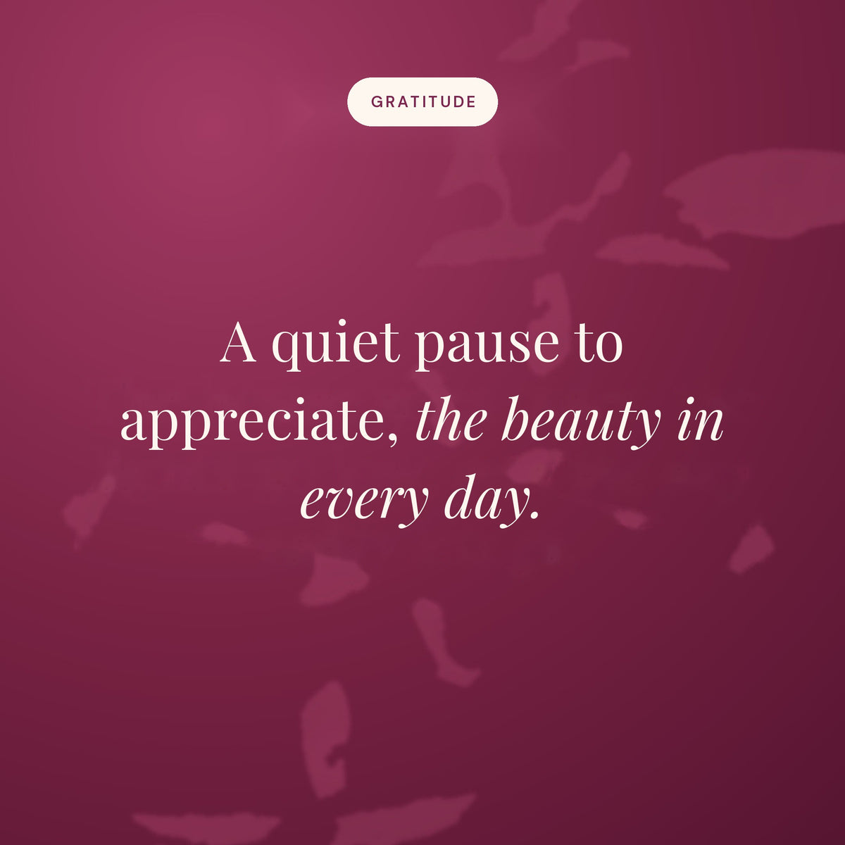 A quiet pause to appreciate, the beauty in every day