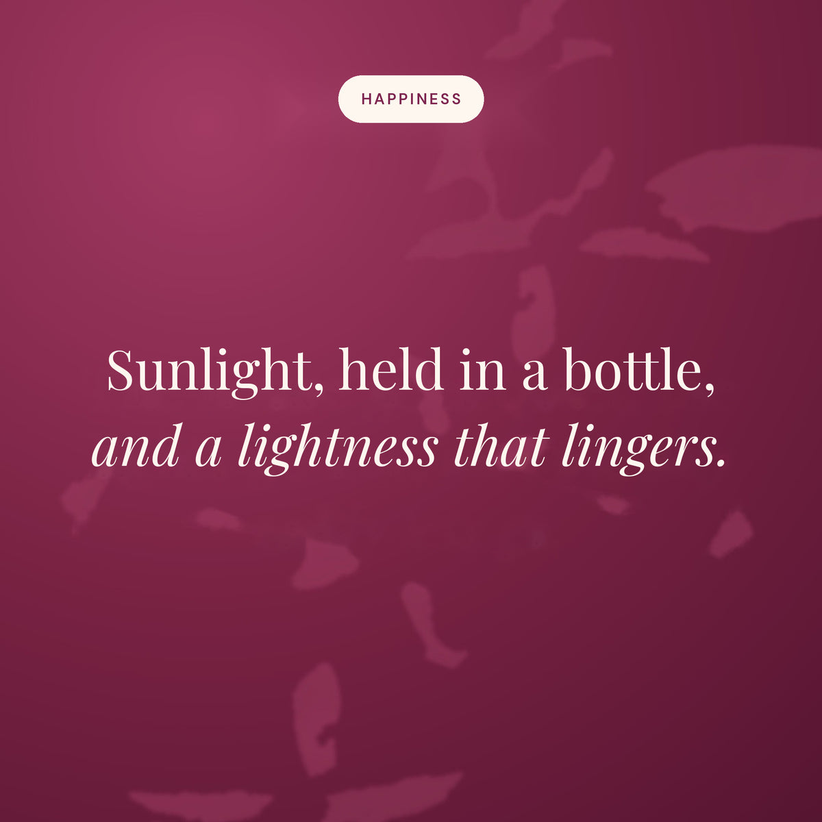 Sunlight, held in a bottle, and a lightness that lingers