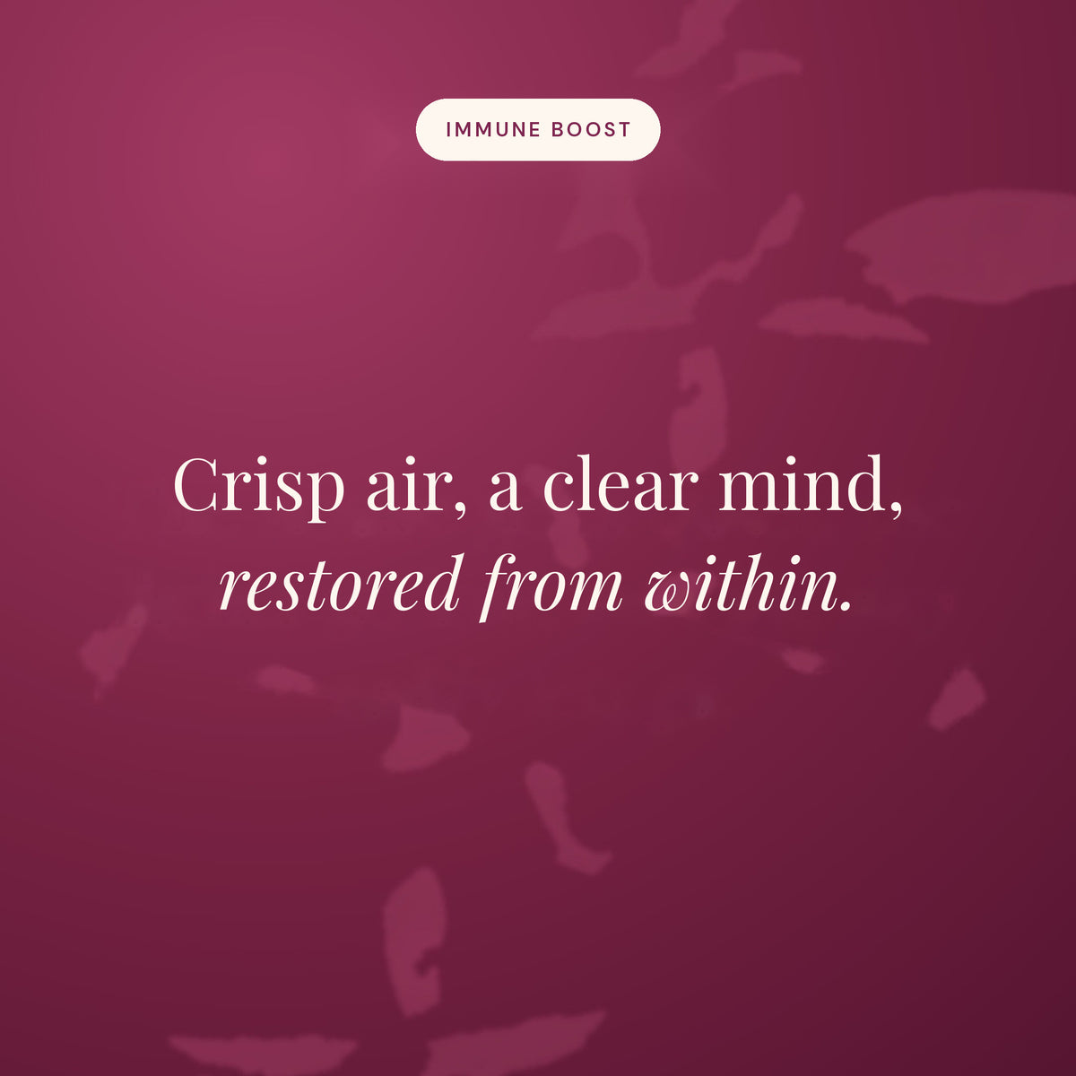 Crisp air, a clear mind, restored from within