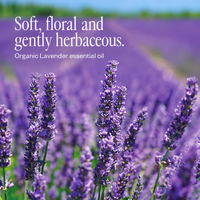 Field of purple lavender flowers in bloom under a blue sky, with the words Soft, floral and gently herbaceous. Organic Lavender essential oil