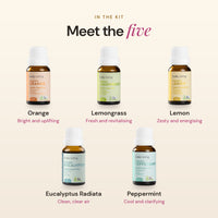 Meet the five oils in the starter kit