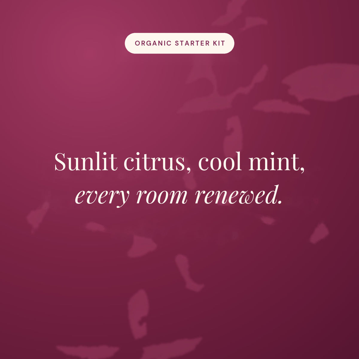 Sunlit citrus, cool mint, every room renewed