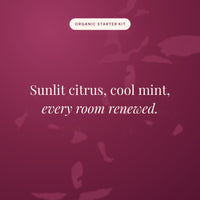 Sunlit citrus, cool mint, every room renewed
