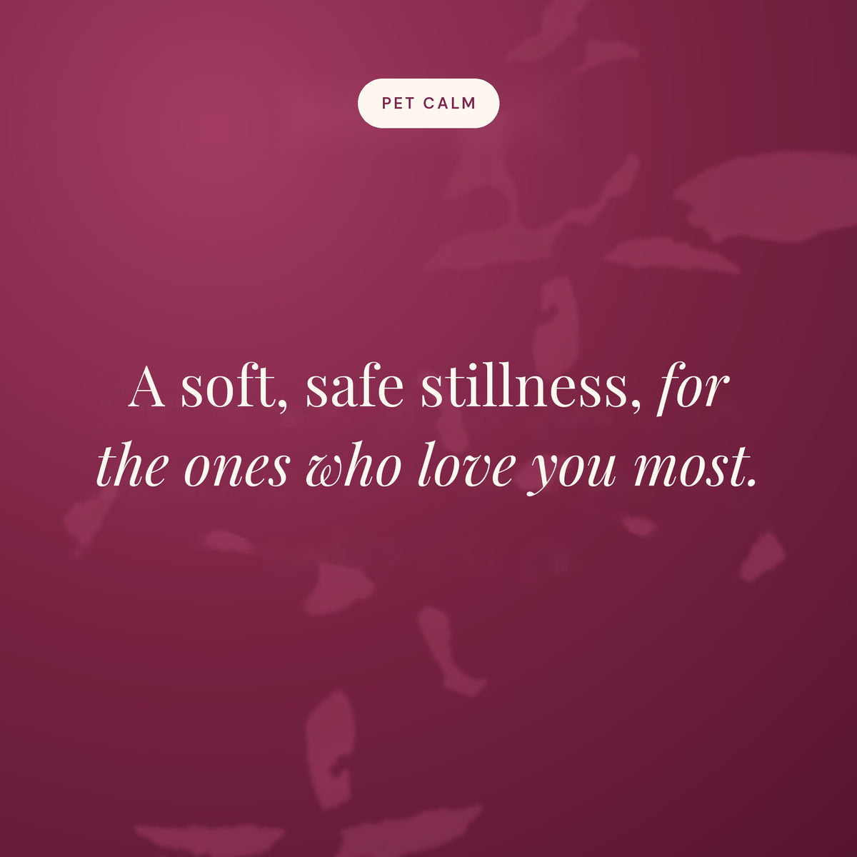 A soft, safe stillness, for the ones who love you most