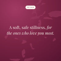 A soft, safe stillness, for the ones who love you most