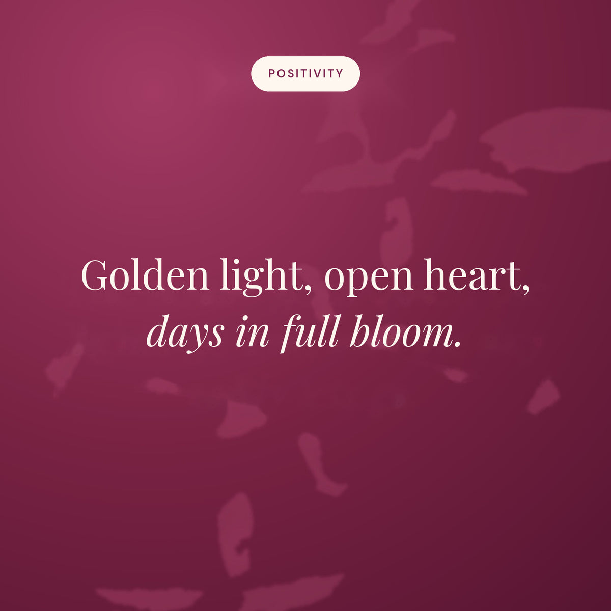 Golden light, open heart, days in full bloom
