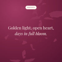 Golden light, open heart, days in full bloom