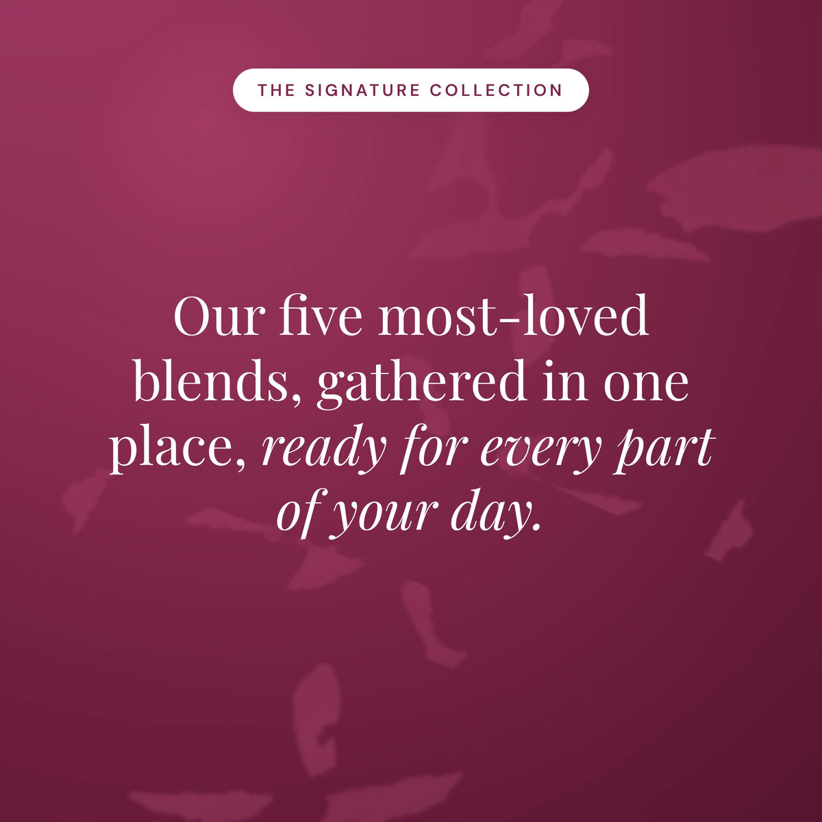 Signature Organic Essential Oil Gift Set with Stand