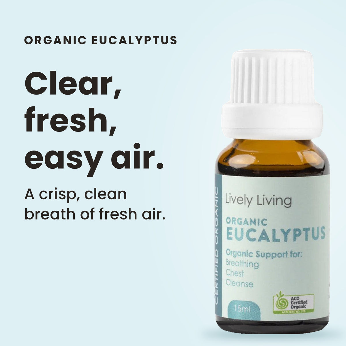 Eucalyptus Radiata essential oil: clear, fresh, easy air