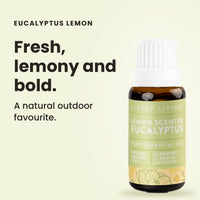 Eucalyptus Lemon essential oil: fresh, lemony and bold