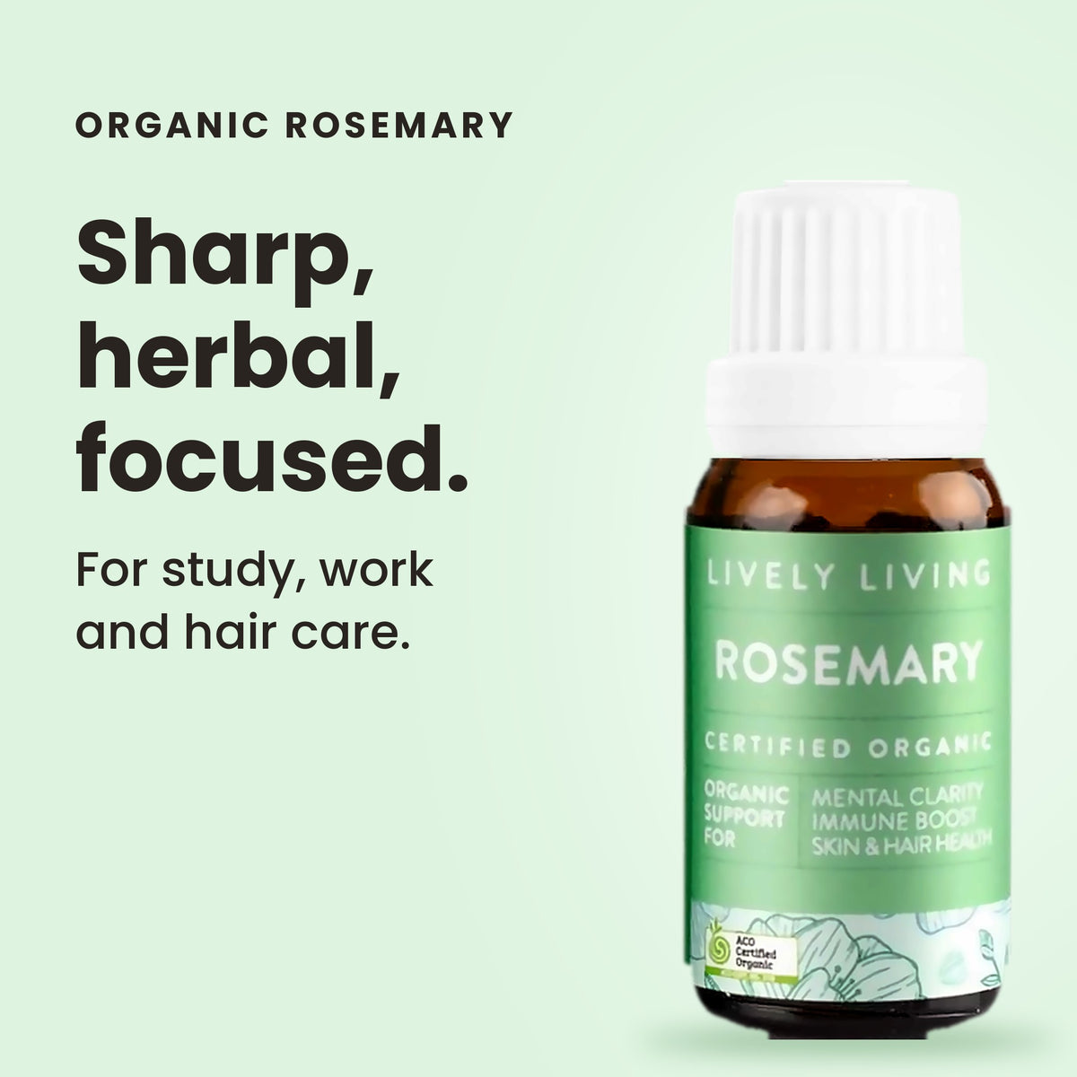Rosemary essential oil: sharp, herbal, focused