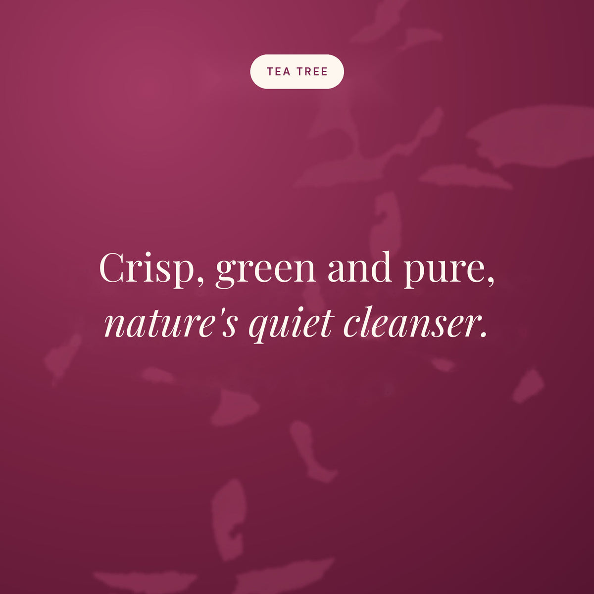 Crisp, green and pure, nature's quiet cleanser