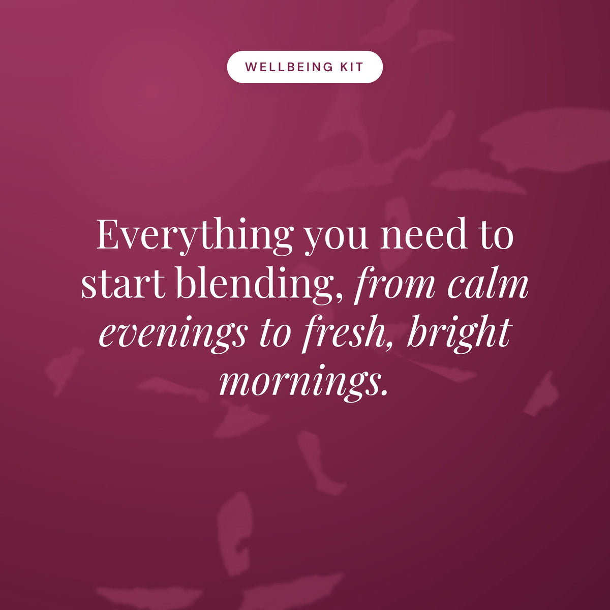 10 x Organic Single Oils Wellbeing Kit